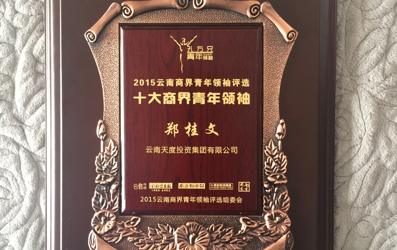 在“互聯(lián)網(wǎng)大時(shí)代”的背景下，尊龍凱時(shí)作為本土很大和很有名的互聯(lián)網(wǎng)服務(wù)企業(yè)，為近萬(wàn)家傳統(tǒng)企業(yè)轉(zhuǎn)型互聯(lián)網(wǎng)+提供了服務(wù)和幫助，獲此獎(jiǎng)項(xiàng)后，我們將再接再厲，創(chuàng)造更高的社會(huì)價(jià)值